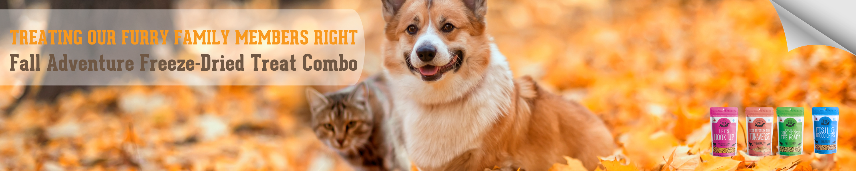 Fall Adventure Freeze-Dried Treat Combo featuring chicken, salmon, and cod treats