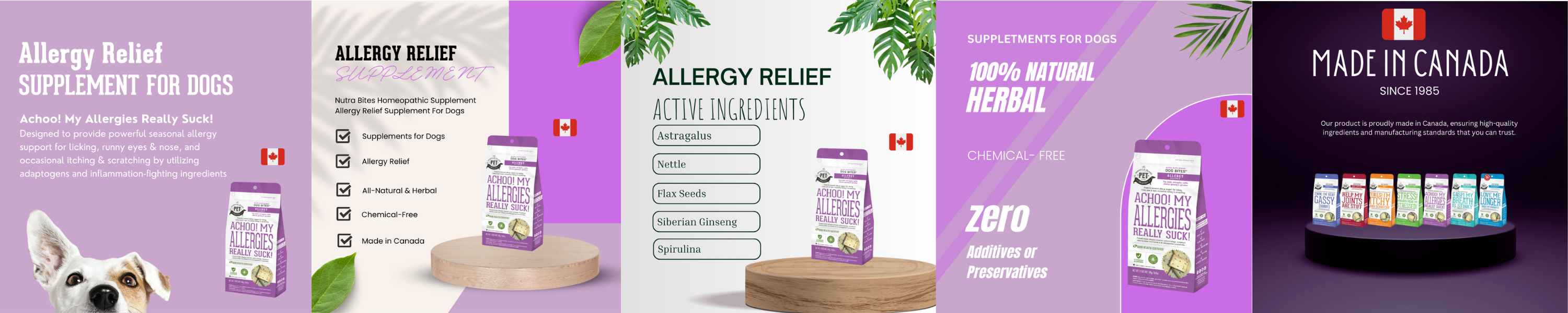 Supplement Allergy Relief for Dogs