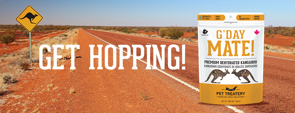 Why Our New Dehydrated Kangaroo Treats Will Drive You Hopping Glad ...